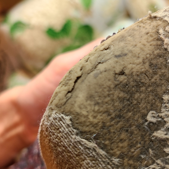 ✨ STEVE MADDEN 🌌 pinup sequins sparkles princess barbie platform high heels!🖤 - Picture 7 of 14